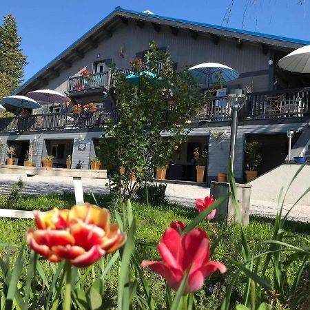 L'Alpen Roc Bed and Breakfast Caille Εξωτερικό φωτογραφία